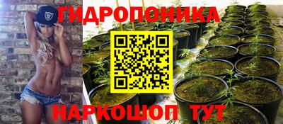 шишки Бердск